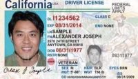 a man's driver's license