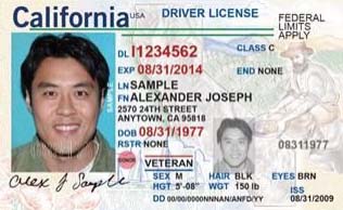 a man's driver's license