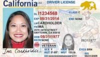 close-up of a driver license