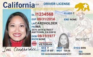 close-up of a driver license