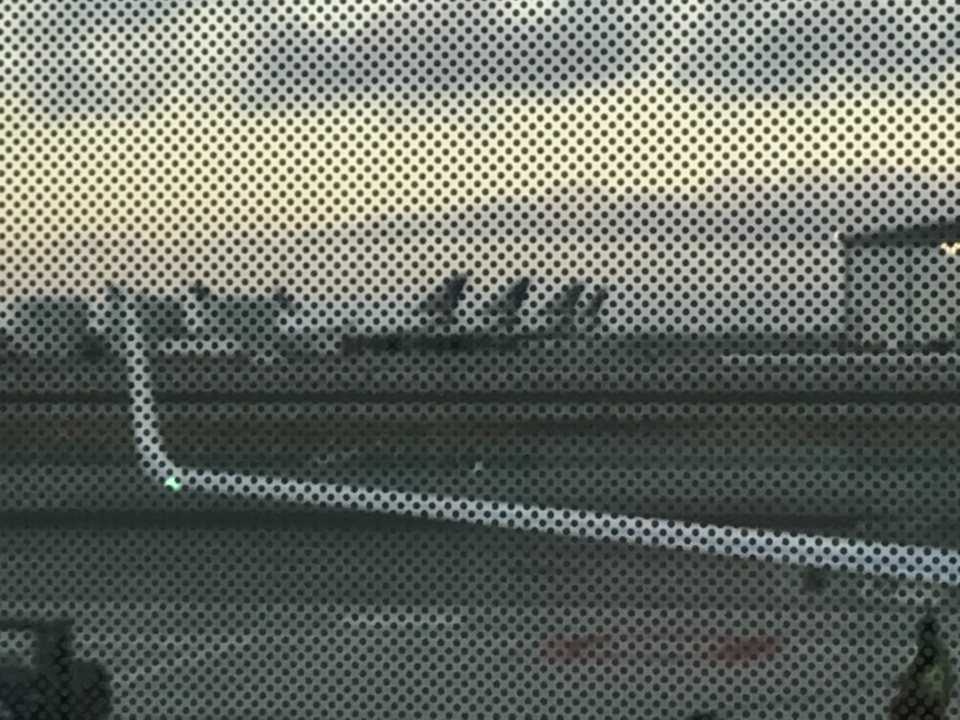 a plane on the ground