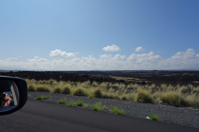 a road with grass and rocks
