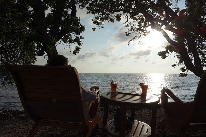 a person sitting at a table by the water