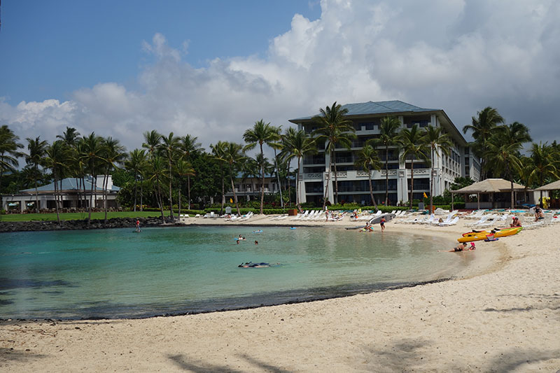 a beach with palm trees and people in the water