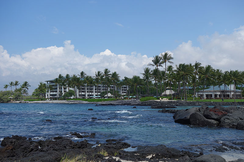 a body of water with rocks and palm trees