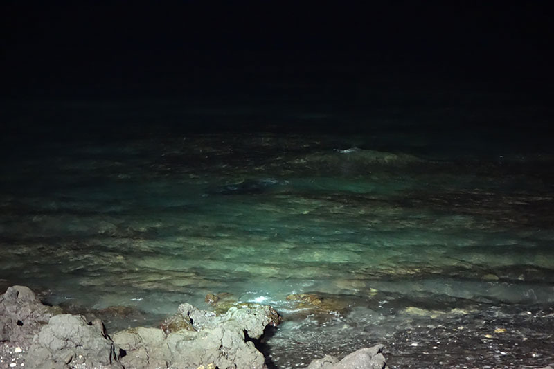 a rocky beach at night