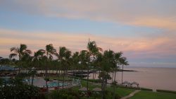 a palm trees next to a body of water