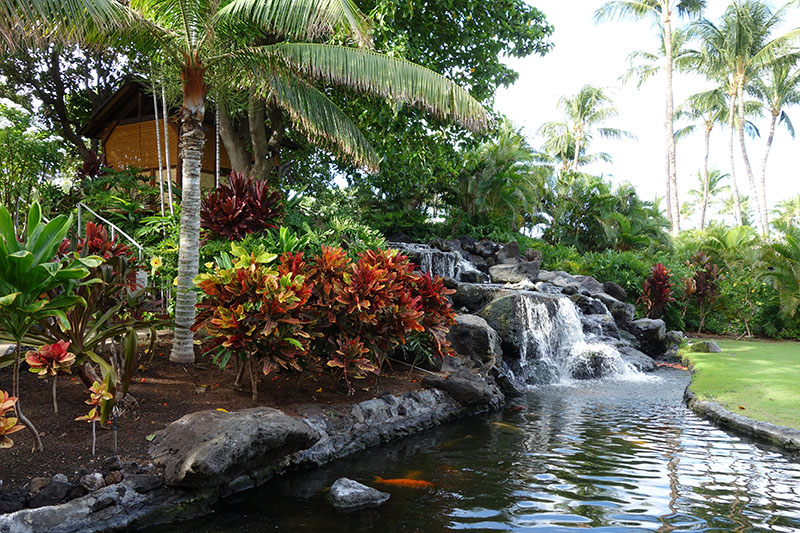 a waterfall next to a pond