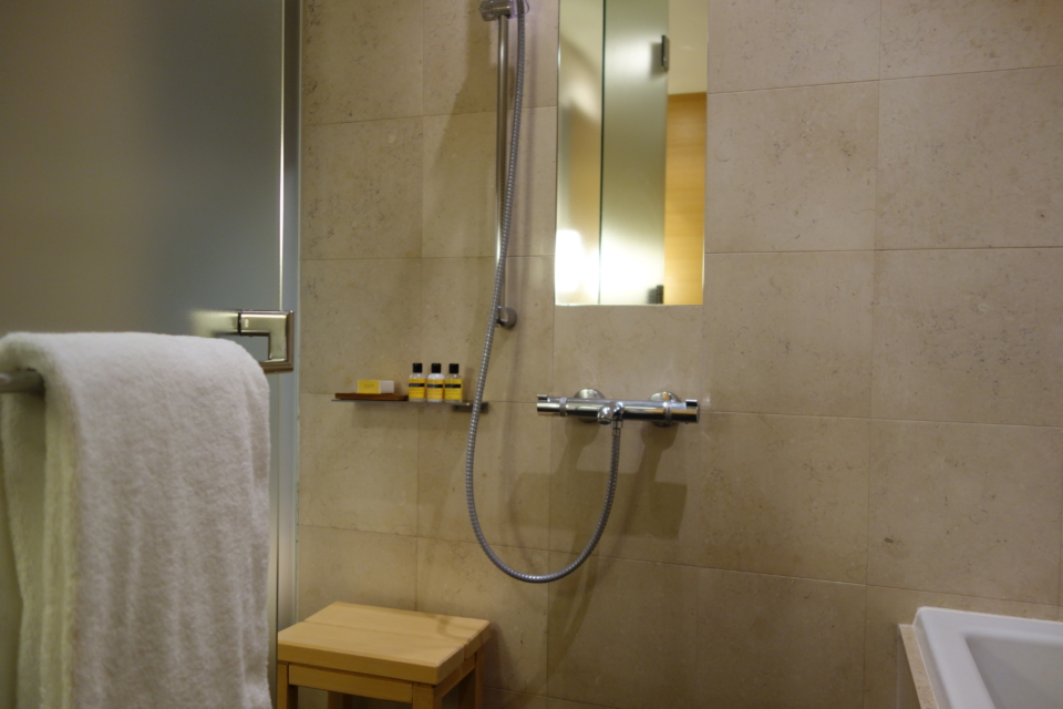 a shower head with a shower head and a mirror