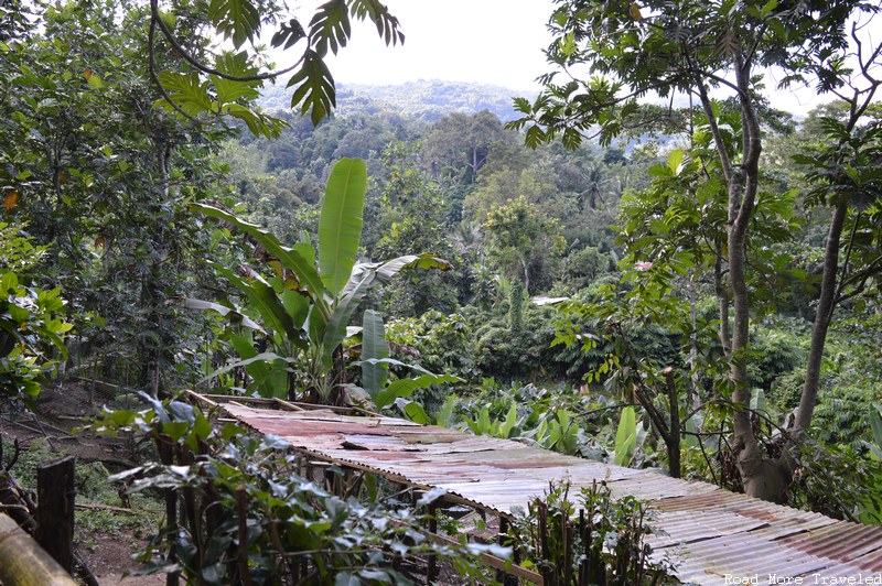 Johns Hall Plantation - mountain and jungle view