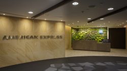 a lobby with a wall and plants on the wall