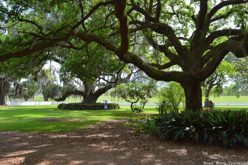 Destrehan Plantation - more trees on grounds