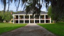 Destrehan Plantation - house and grounds