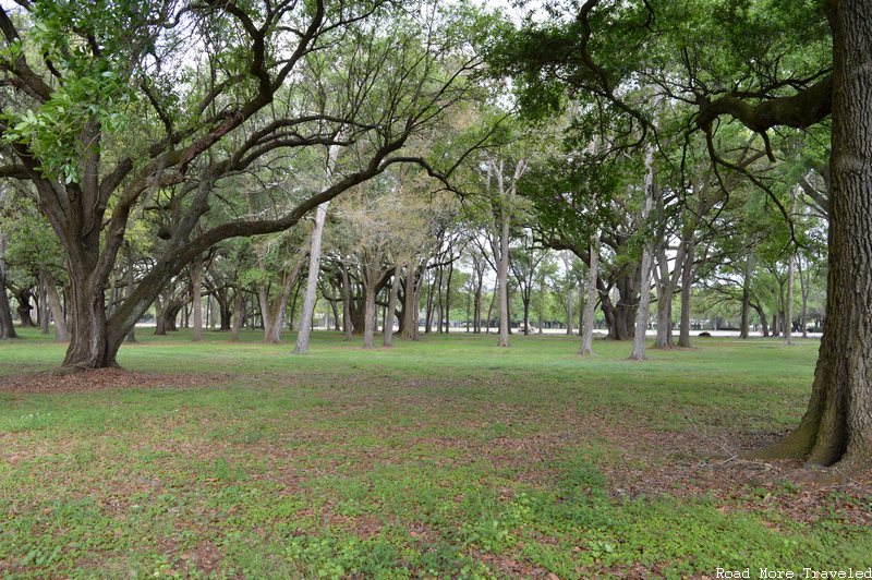 Destrehan plantation - woods