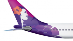 a close-up of a plane