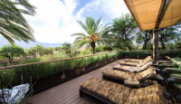 a deck with chairs and palm trees