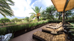 a deck with chairs and palm trees