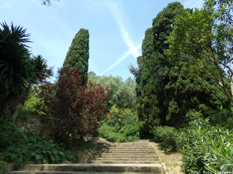 Jardines del Turo del Putxet - trees