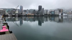a body of water with a city in the background