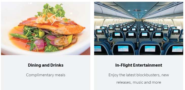 a close-up of food on a plane
