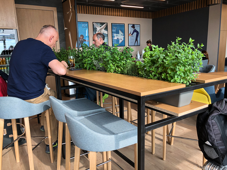 a man sitting at a table with plants on it
