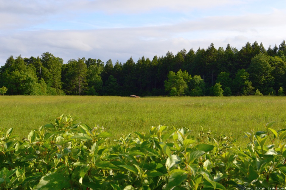 Flight 93 National Memorial - crash site