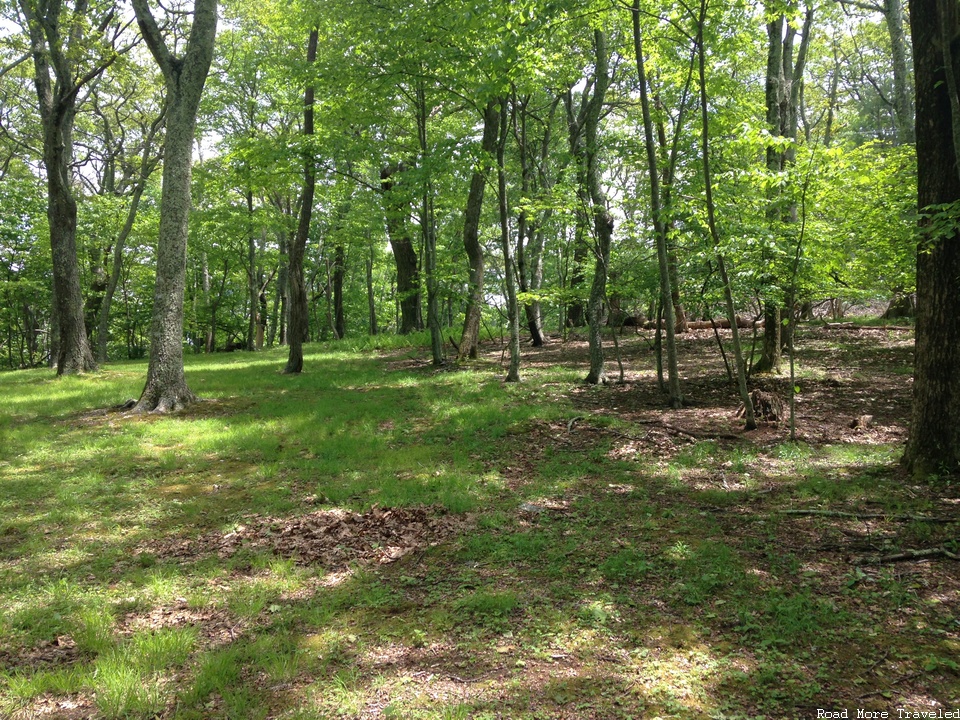 Lewis Mountain picnic area, Shenandoah National Park