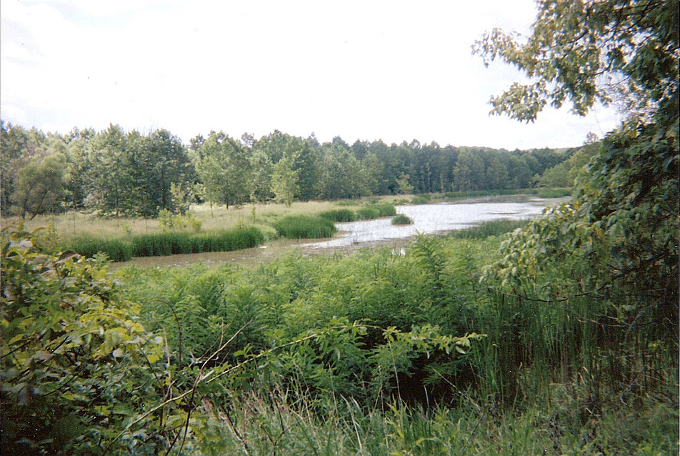 Towpath Trail, Cuyahoga Valley National Park