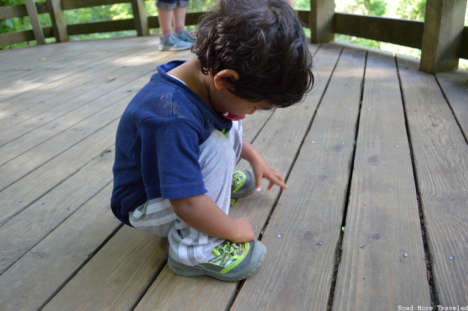 An easily distracted toddler