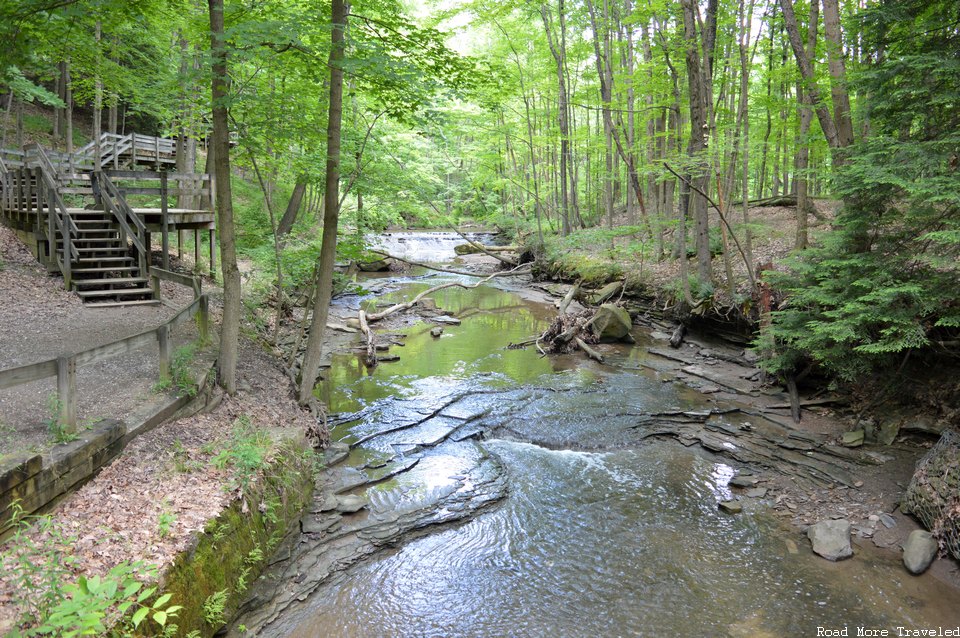 Forest near Bridal Veil Falls, Cuyahoga Valley National Park