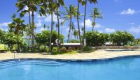 a swimming pool with palm trees and a building