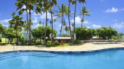 a swimming pool with palm trees and a building