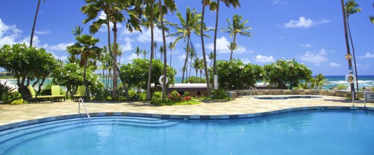 a swimming pool with palm trees and a beach