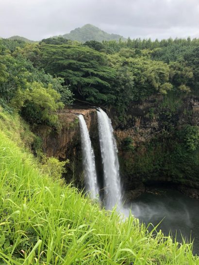 a waterfall in a forest