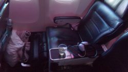 Air New Zealand Premium Economy - seat