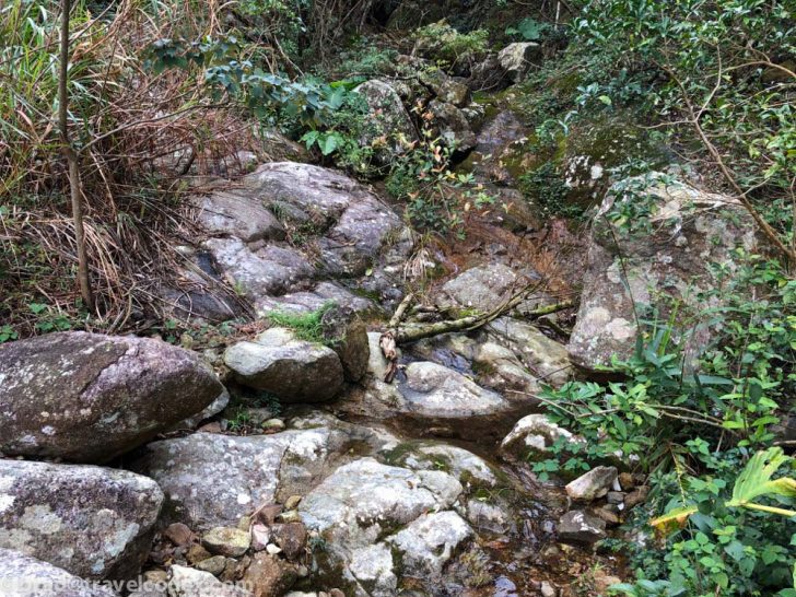 a rocky stream in the woods