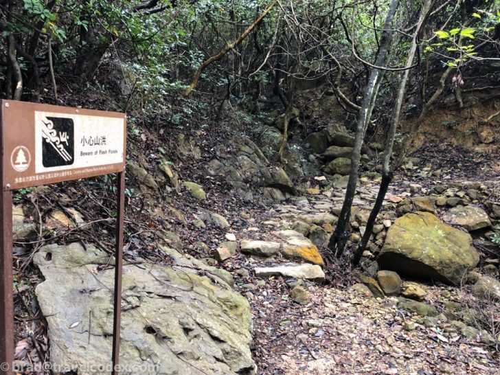 a sign in a forest