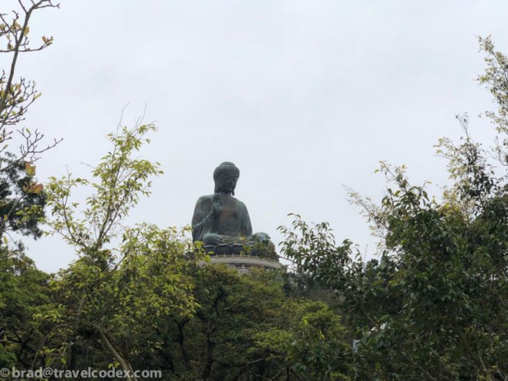 a statue of a person sitting on a hill surrounded by trees