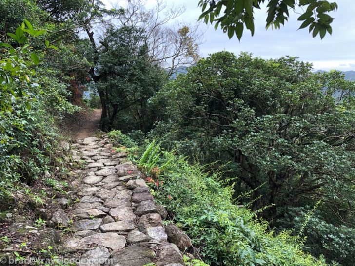 a stone path in the woods