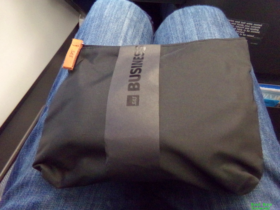 SAS Business Class amenity kit