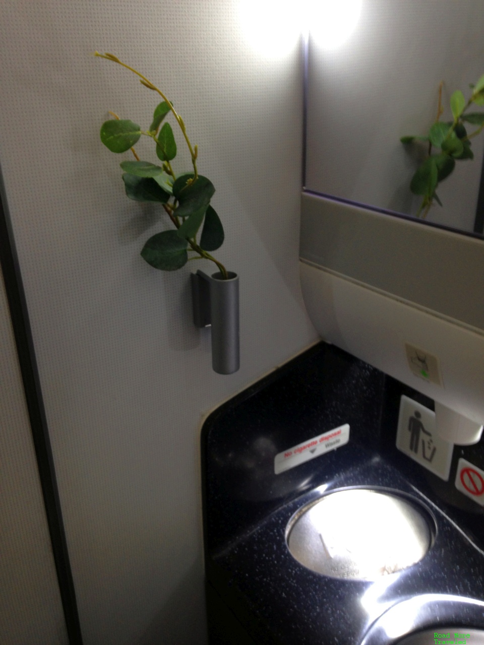 SAS Business Class lavatory with plant