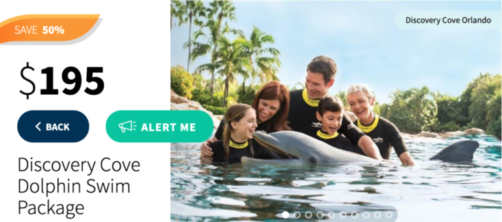 a group of people in the water with a dolphin