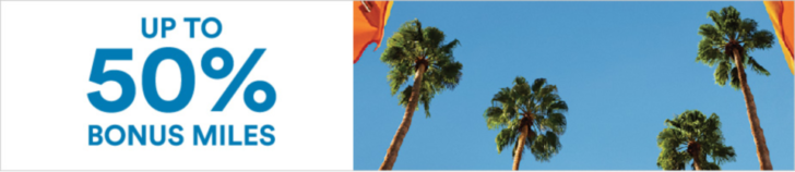 a palm tree with a flag