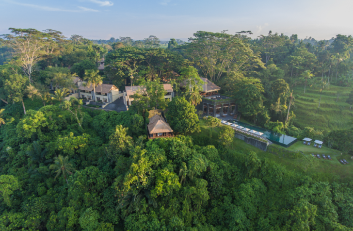 a group of houses surrounded by trees