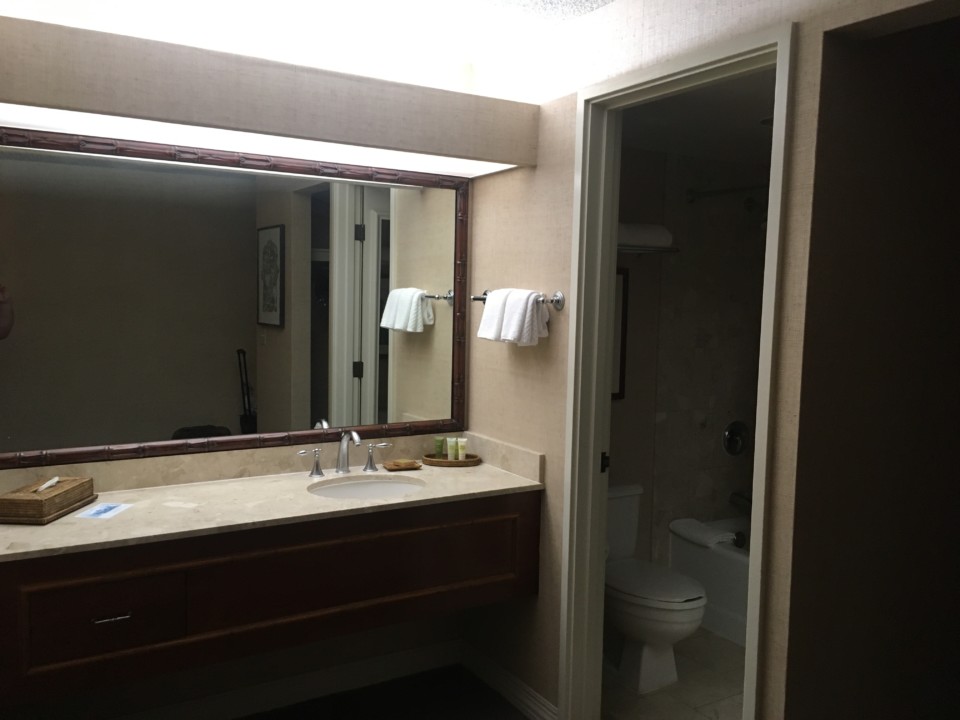 a bathroom with a mirror