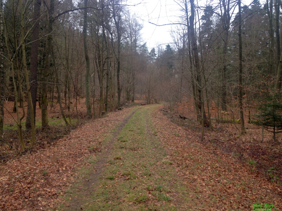 Forest trail near Frankenstein, Germany