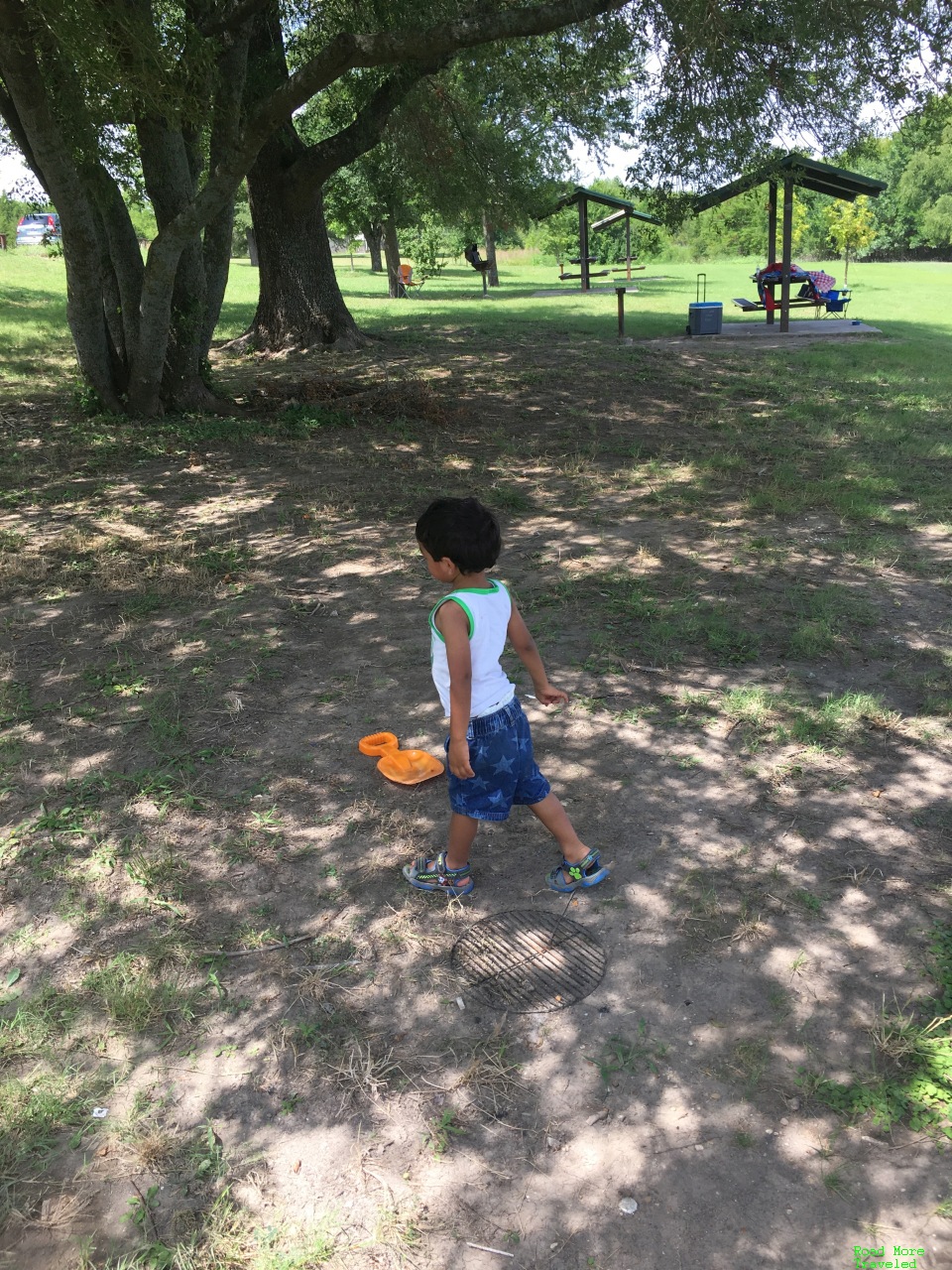 Plenty of dirt under the shade trees