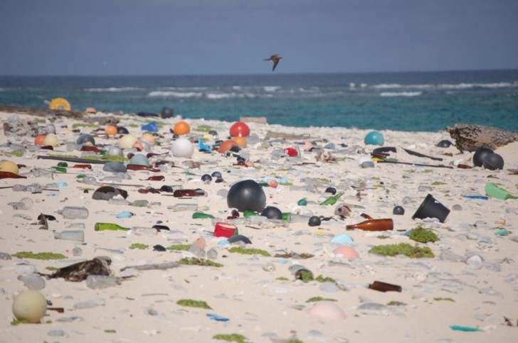 a beach full of trash