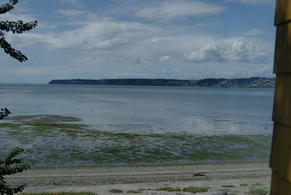 a body of water with a rocky shore and a city in the distance