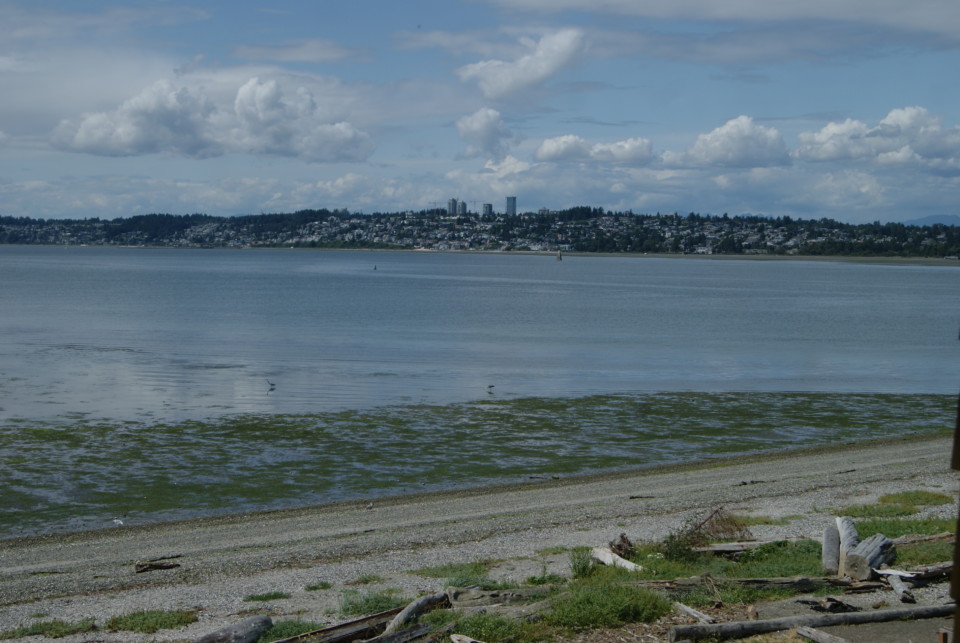 a beach with a city in the background